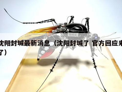 沈阳封城最新消息(沈阳封城了 官方回应来了)